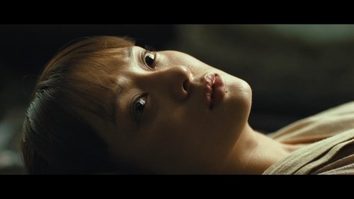 The Lost Bladesman - Quan Vân Trường - Hình 1