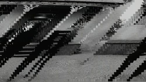 Kill Bill: Vol. 2 - Cô Dâu Báo Thù 2 - Hình 1