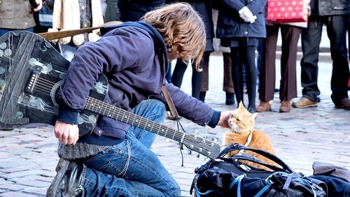 A Street Cat Named Bob - Chú Mèo Đường Phố Tên Bob - Hình 1