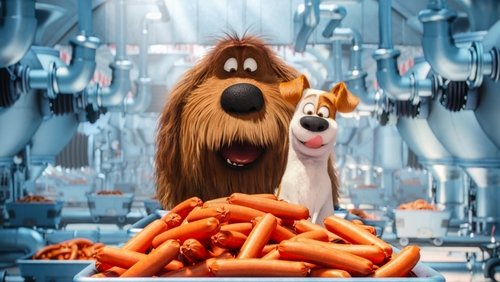 The Secret Life of Pets - Đẳng Cấp Thú Cưng - Hình 4