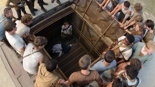 The Maze Runner - Giải Mã Mê Cung - Hình 2