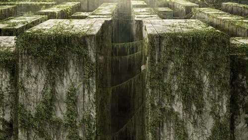 The Maze Runner - Giải Mã Mê Cung - Hình 1