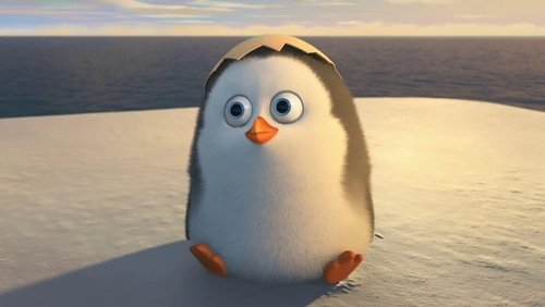 Penguins of Madagascar - Biệt Đội Cánh Cụt Vùng Madagascar - Hình 3