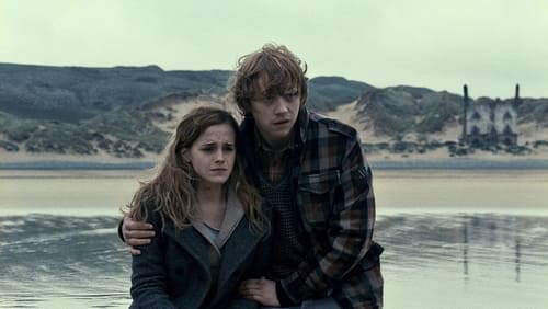 Harry Potter And The Deathly Hallows: Part 1 - Harry Potter Và Bảo Bối Tử Thần - Phần 1 - Hình 1