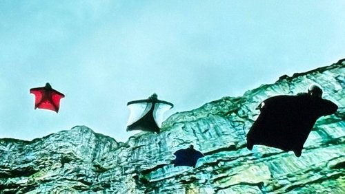 Point Break - Ranh Giới Chết - Hình 3