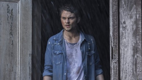 Evil Dead - Ma Cây - Hình 2