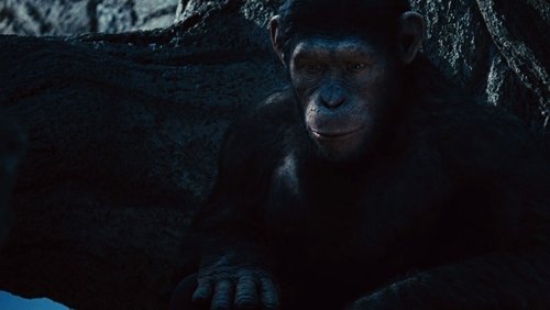 Rise of the Planet of the Apes - Sự Trỗi Dậy Của Hành Tinh Khỉ - Hình 1