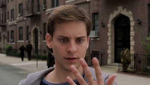 Spider-Man - Người Nhện - Hình 2