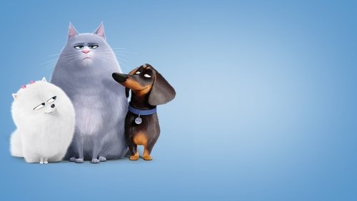 The Secret Life of Pets - Đẳng Cấp Thú Cưng - Hình 5