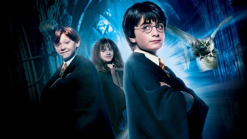 Harry Potter And The Sorcerer's Stone - Harry Potter Và Hòn Đá Phù thủy - Hình 3
