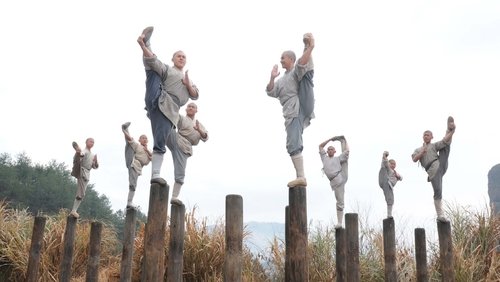 Shaolin - Tân Thiếu Lâm Tự - Hình 1