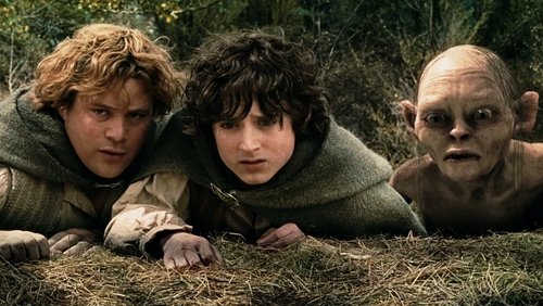 The Lord of the Rings: The Two Towers - Chúa Tể Của Những Chiếc Nhẫn: Hai Tòa Tháp - Hình 3