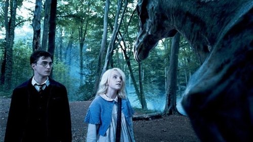 Harry Potter And The Order Of The Phoenix - Harry Potter Và Hội Phượng Hoàng - Hình 2