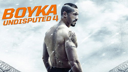 Boyka: Undisputed - Quyết Đấu 4: Boyka - Hình 1