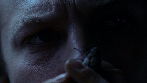 The Silence of the Lambs - Sự Im Lặng Của Bầy Cừu - Hình 3