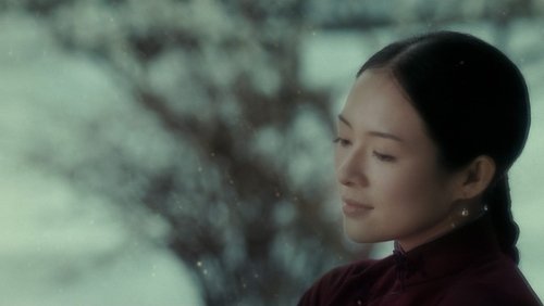 The Grandmaster - Diệp Vấn: Nhất Đại Tông Sư - Hình 5